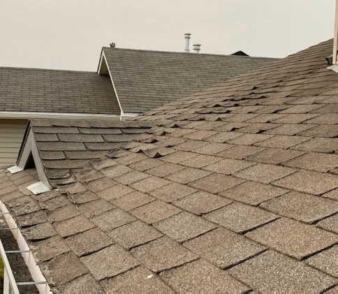 A residential roof before rejuvenation chemical treatment